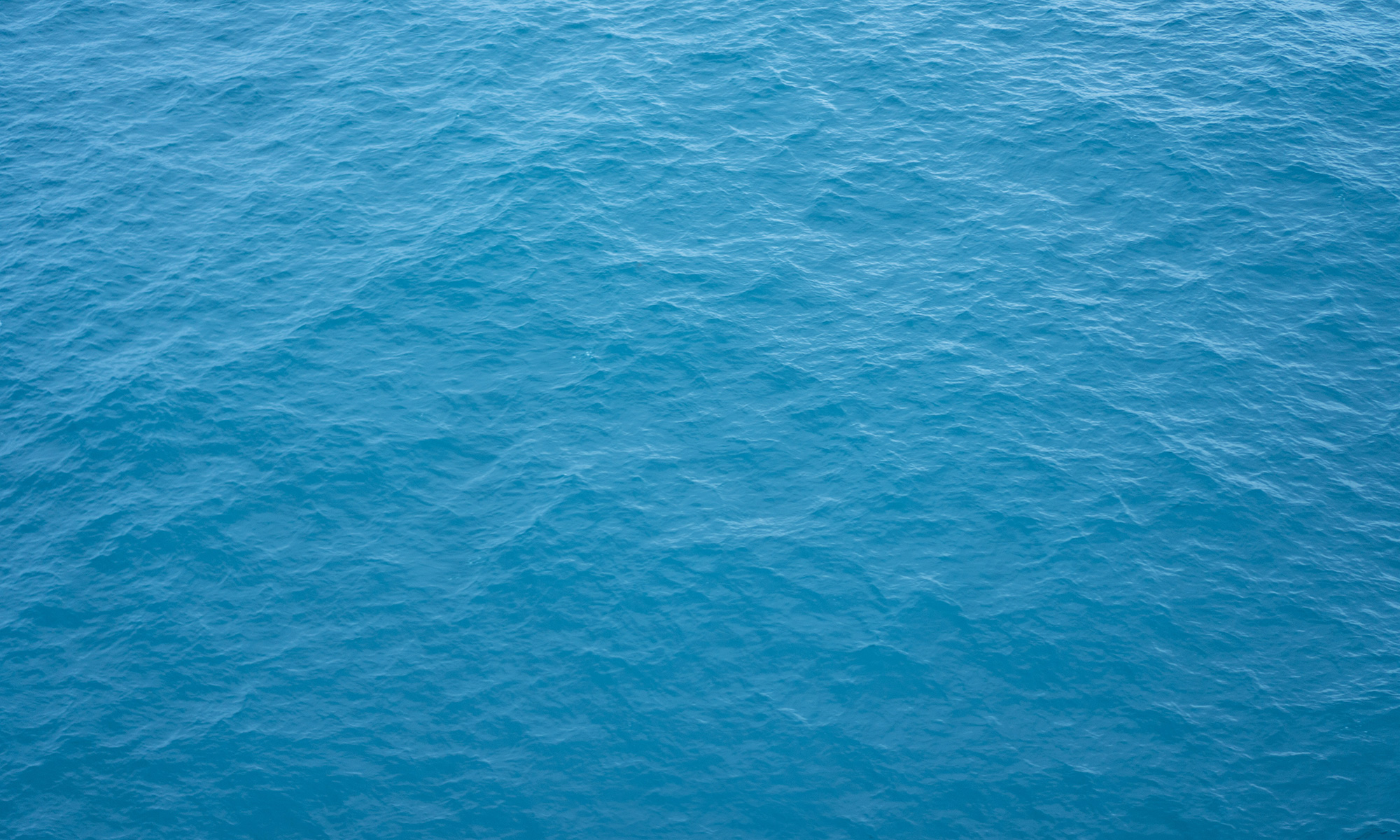 ある家族からのおたより – 子どもの嘘